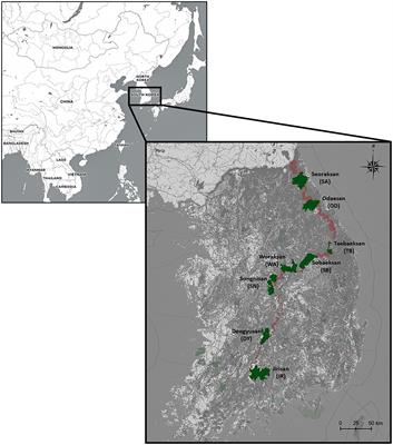 Spatio-temporal genetic structure of the striped field mouse (Apodemus agrarius) populations inhabiting national parks in South Korea: Implications for conservation and management of protected areas